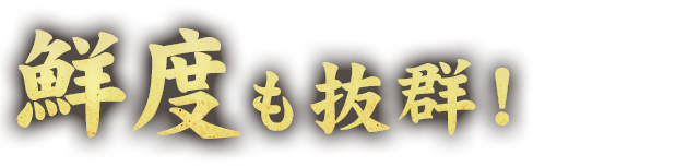 鮮度も抜群